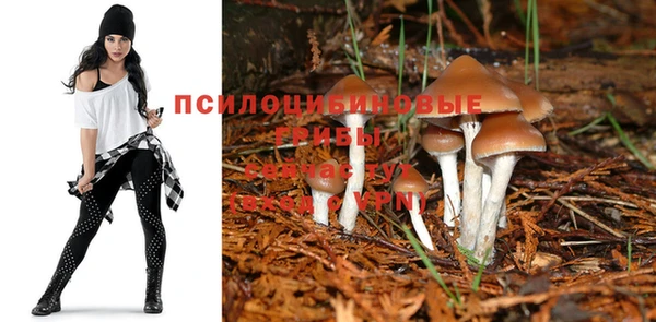 ГАЛЛЮЦИНОГЕННЫЕ ГРИБЫ Армянск