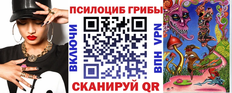 где можно купить наркотик  Терек  MEGA ONION  Галлюциногенные грибы прущие грибы 